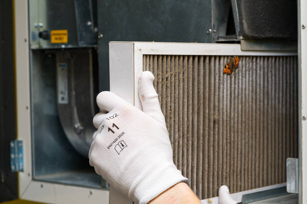 Best Air Quality Test  in Wallburg, NC